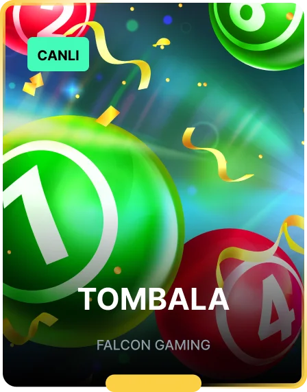 assets/media/games_images/falcon_gaming/Tombala_8964.webp