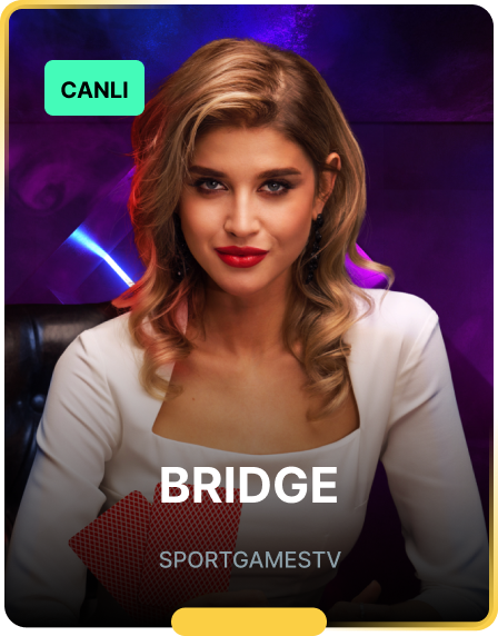 assets/media/games_images/sport_games_tv/Bridge_8432.png